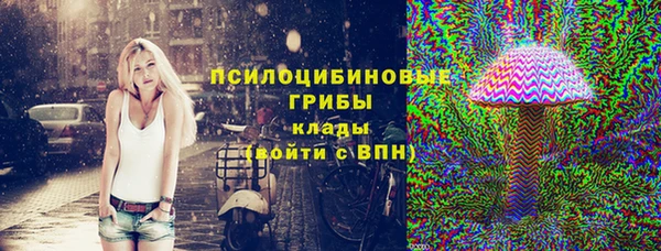 прущие крисы Абаза
