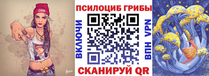 OMG ссылки  Звенигород  Галлюциногенные грибы Psilocybine cubensis  купить наркотики сайты 